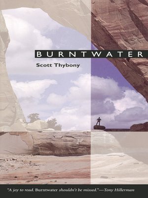 cover image of Burntwater